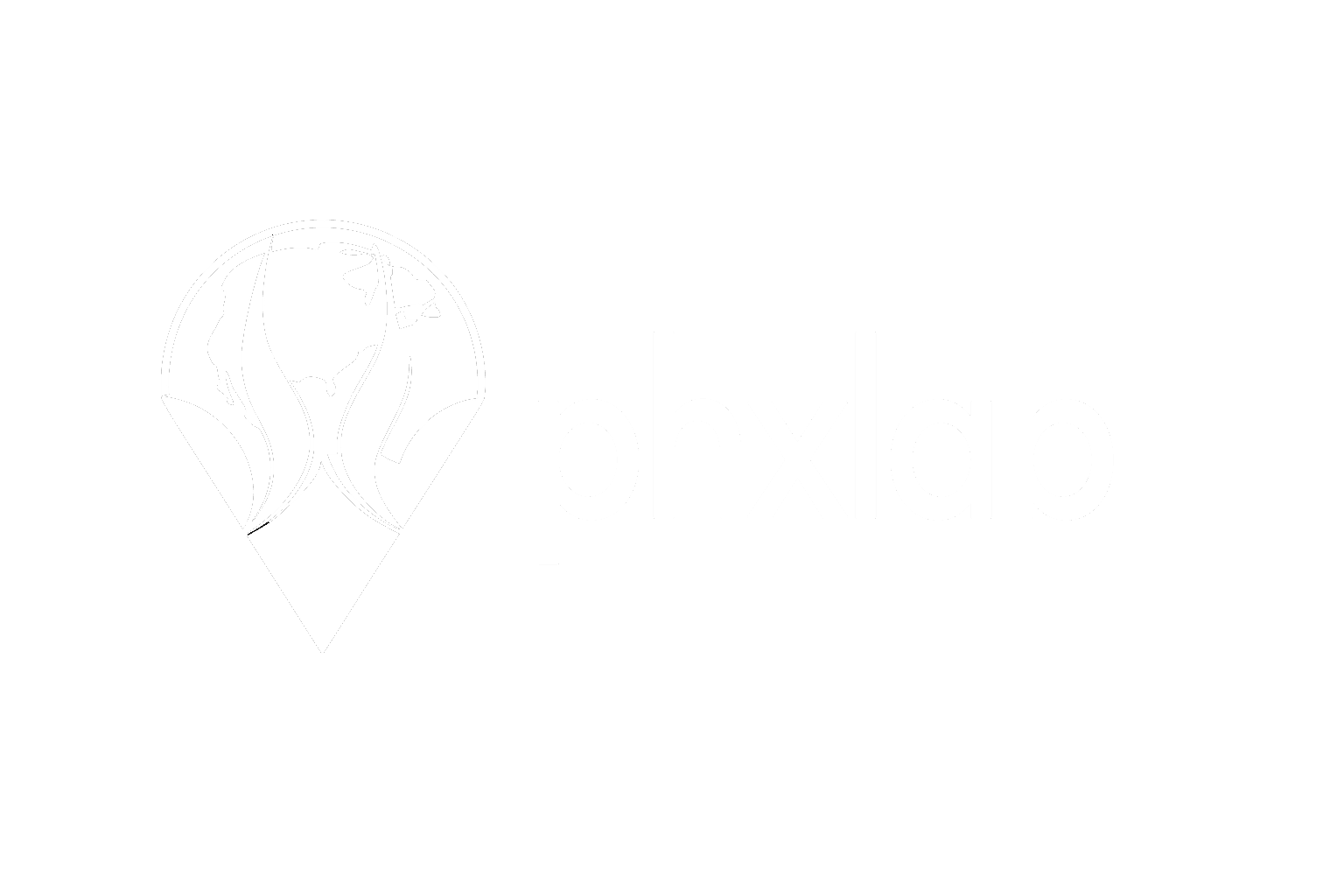 Phoenix Lab